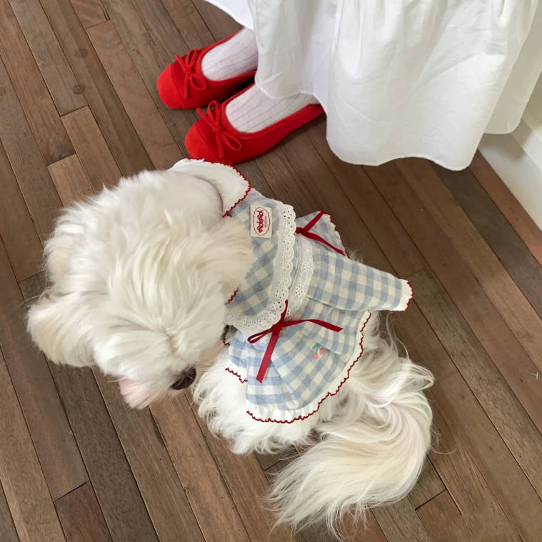 Vintage Plaid Pet Dress Cute Bow Princess Puppy Kitten Clothes