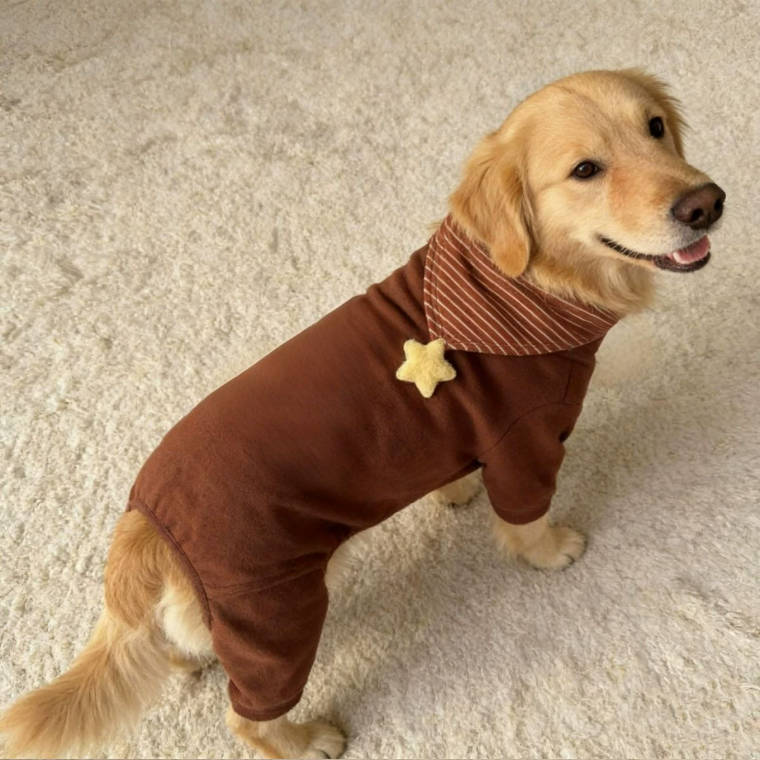 Pet Big Dogs Patchwork Striped Star Cute Clothings | Pet Clothes
