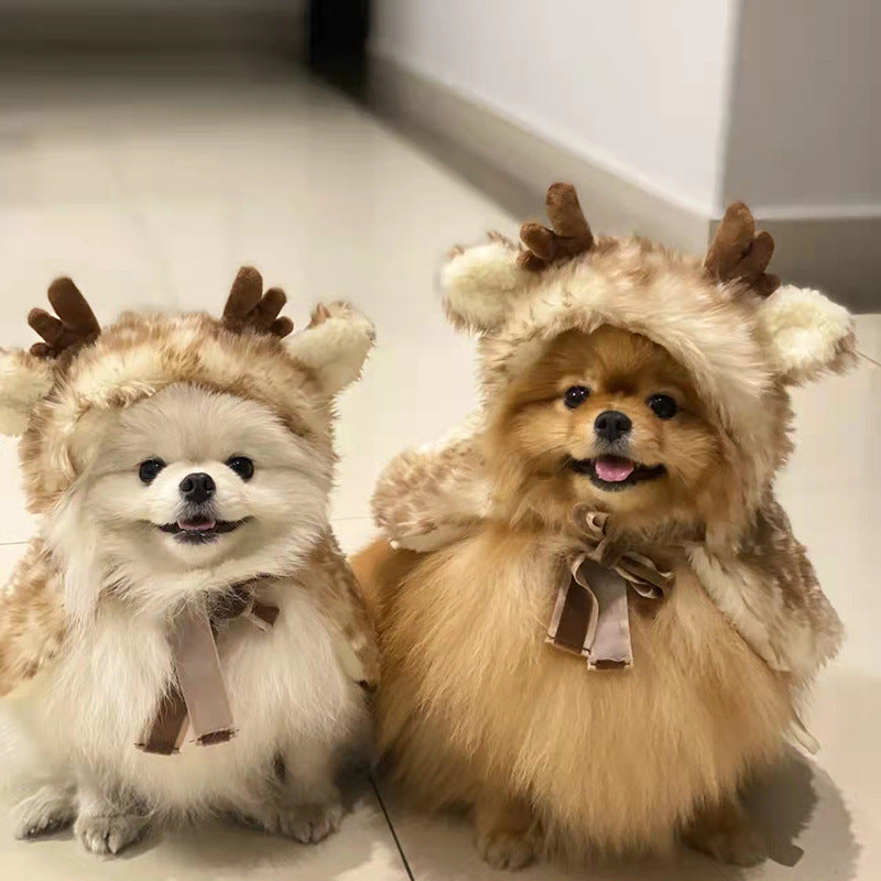 Cape en dentelle de Noël pour animaux de compagnie, costume de renne pour chiens et chats