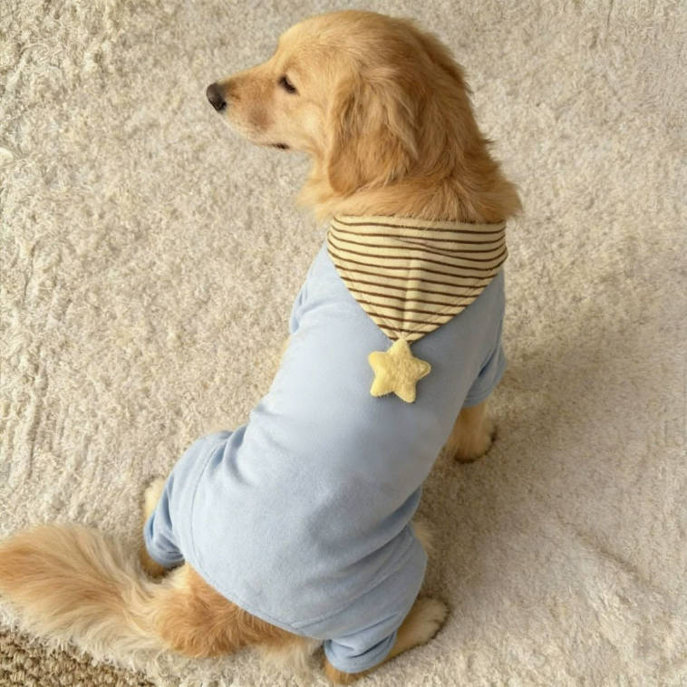 Pet Big Dogs Patchwork Striped Star Cute Clothings | Pet Clothes