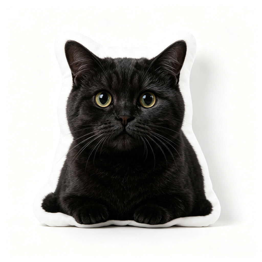 Réplique personnalisée en feutre aiguilleté d'animal de compagnie | Cadeau commémoratif fait main pour chien et chat