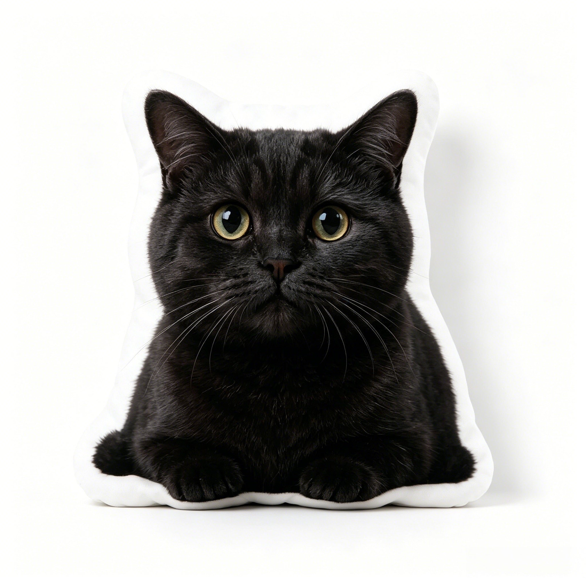 Réplique personnalisée en feutre aiguilleté d'animal de compagnie | Cadeau commémoratif fait main pour chien et chat