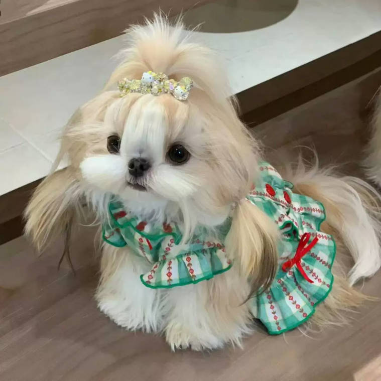 Summer Plaid Bubble Sleeve Princess Pet Dress For Small Dogs Cats