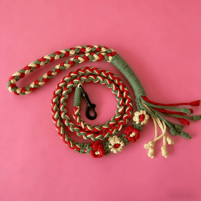 Handmade Braided Colorful Cat Walking Rope Dog Pet Leash