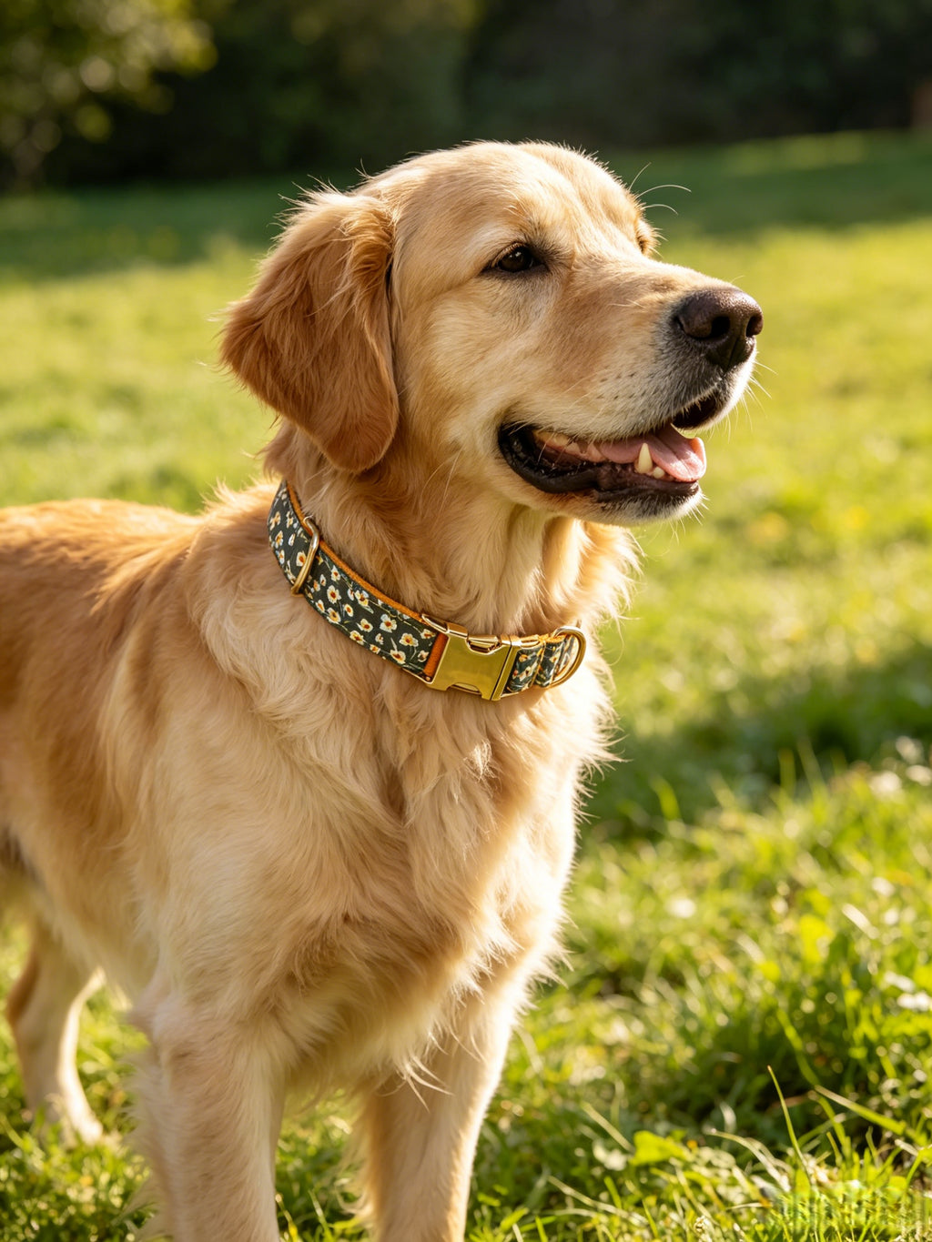 Green Glow Orange Blossom Dog Collar Adjustable Pet Leash Set