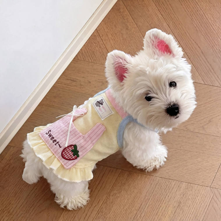 Summer Sweet Macaron Camisole Pet Dress For Small Dogs