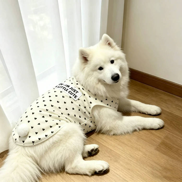 Samoyed Big Dogs Heart Dots Beige Cute Clothings | Pet Clothes
