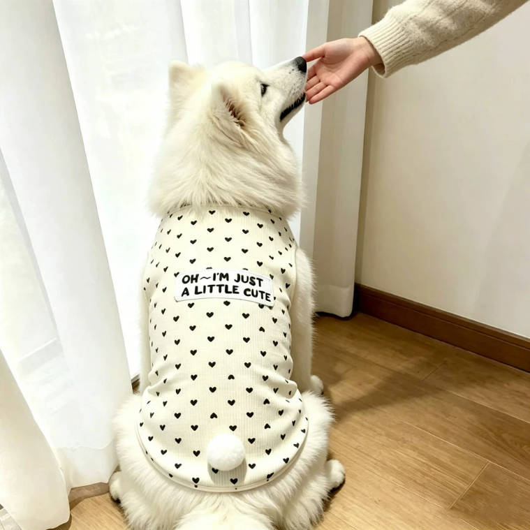 Samoyed Big Dogs Heart Dots Beige Cute Clothings | Pet Clothes