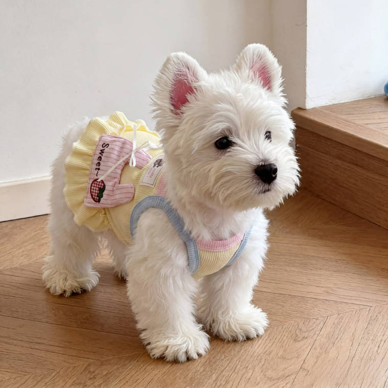Summer Sweet Macaron Camisole Pet Dress For Small Dogs