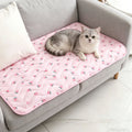Tapis de couchage toutes saisons pour animaux de compagnie, chat et chien, coussin pour chiot, tapis de sol de dessin animé