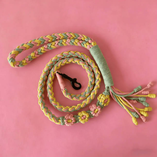 Handmade Braided Colorful Cat Walking Rope Dog Pet Leash