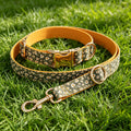 Green Glow Orange Blossom Dog Collar Adjustable Pet Leash Set