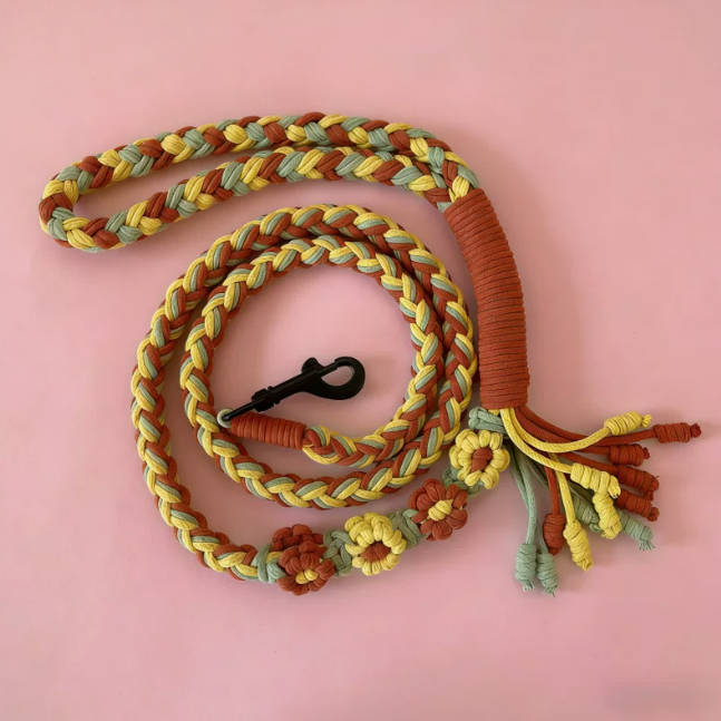 Handmade Braided Colorful Cat Walking Rope Dog Pet Leash