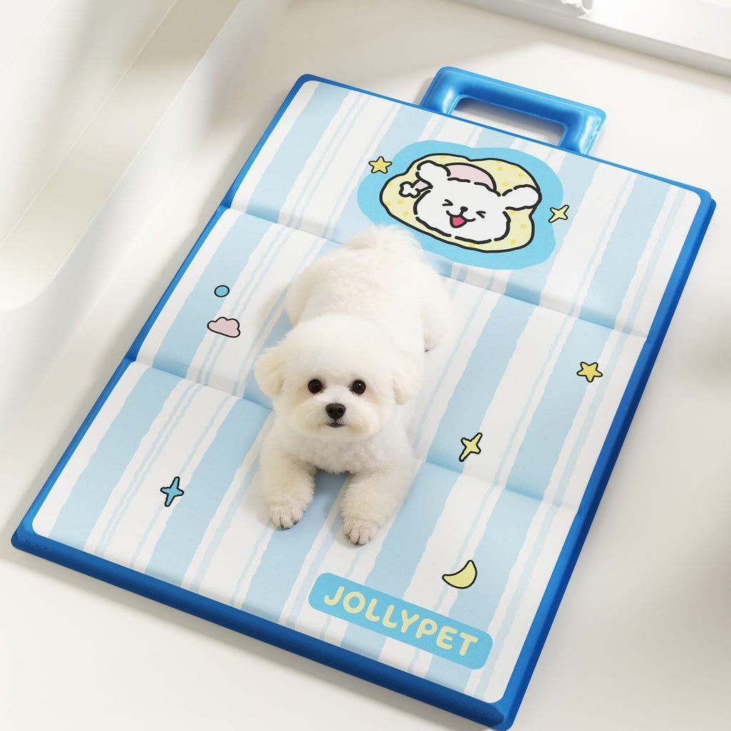 Tapis de couchage toutes saisons pour animaux de compagnie, chat et chien, coussin pour chiot, tapis de sol de dessin animé