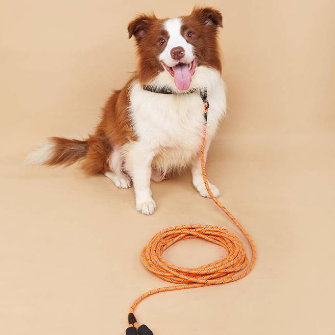 Reflective Long Nylon Rope Dog Leash | Comfortable Grip Pet Lead