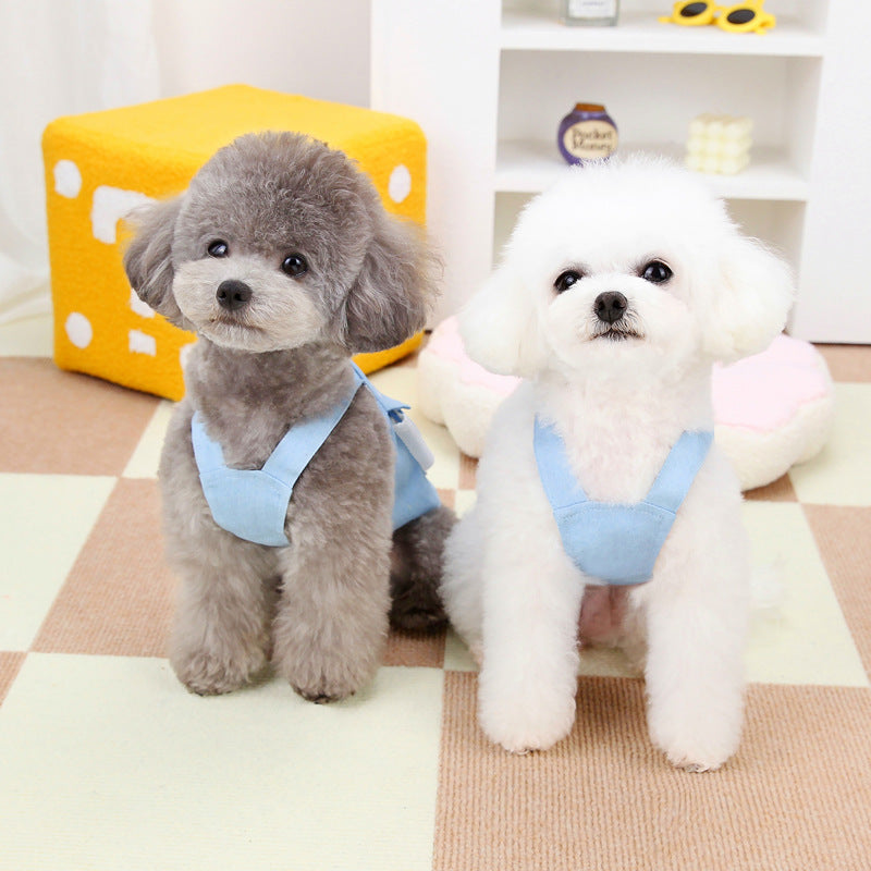 Small Pets Clothes With Backpack | Cute Pet Outfit