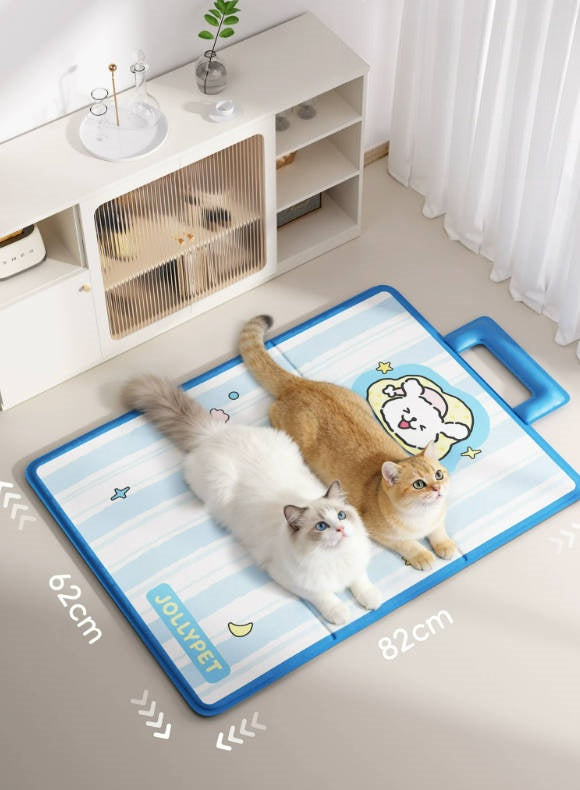 Tapis de couchage toutes saisons pour animaux de compagnie, chat et chien, coussin pour chiot, tapis de sol de dessin animé