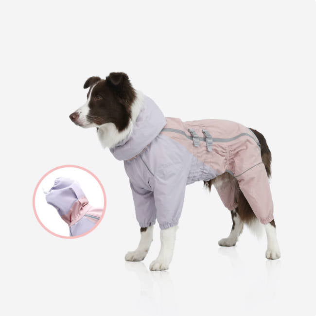 Outdoor Waterproof Dog Suit | Fits Golden Retriever & Border Collie