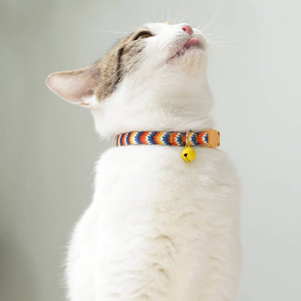Braided Bell Safety Breakaway Adjustable Comfortable Pets Collar