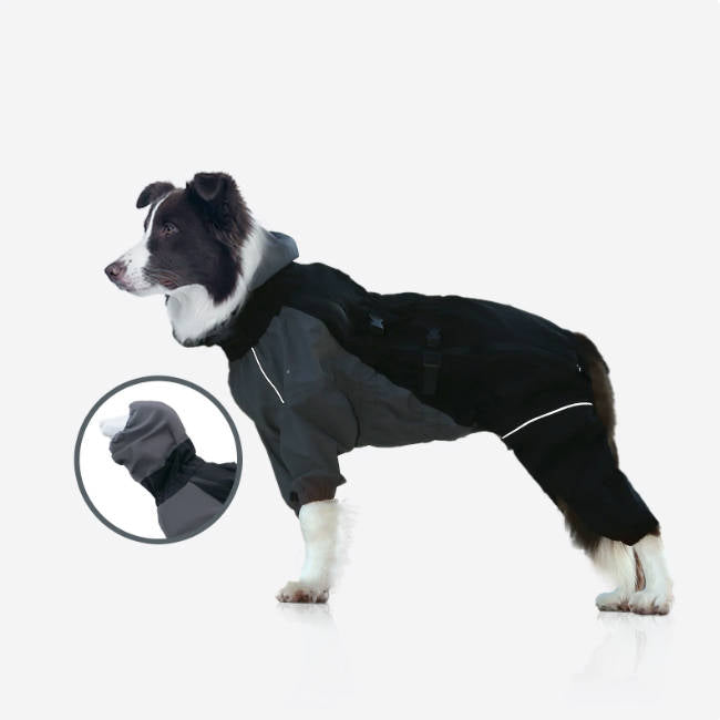 Outdoor Waterproof Dog Suit | Fits Golden Retriever & Border Collie