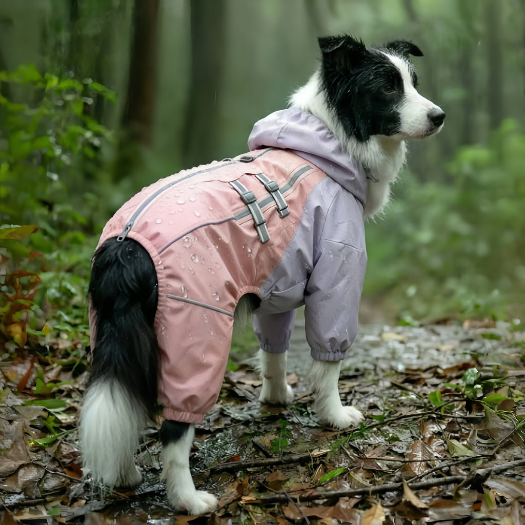 Outdoor Waterproof Dog Suit | Fits Golden Retriever & Border Collie