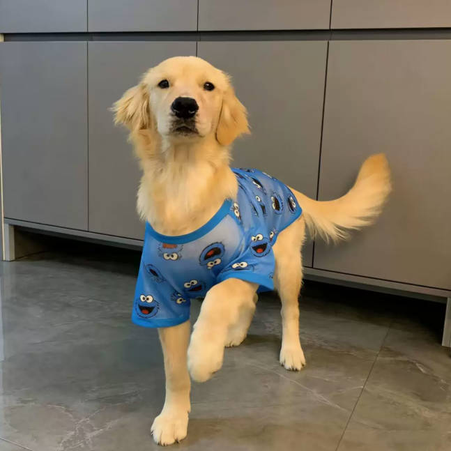 Summer Large Dog Breathable Hallow Sunscreen Cooling Shirt Pet Clothes