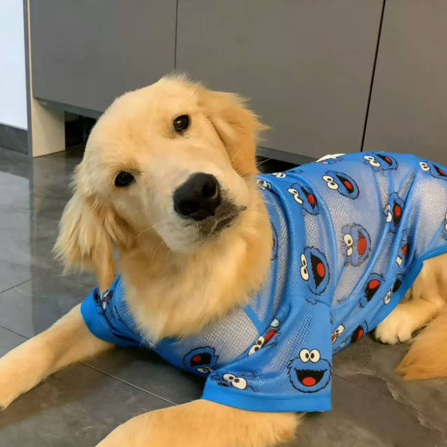 Summer Large Dog Breathable Hallow Sunscreen Cooling Shirt Pet Clothes