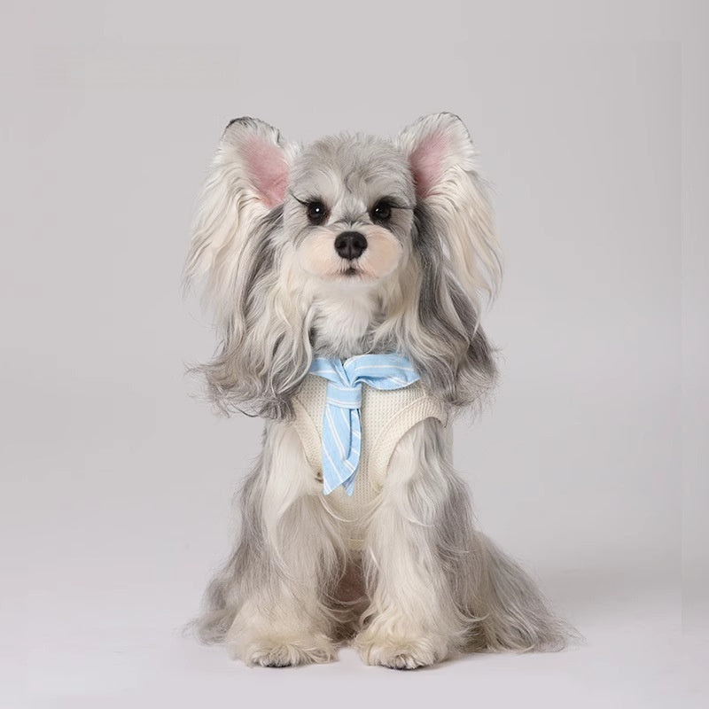 Summer Retro Thin Tie School Style Casual Pet Clothes