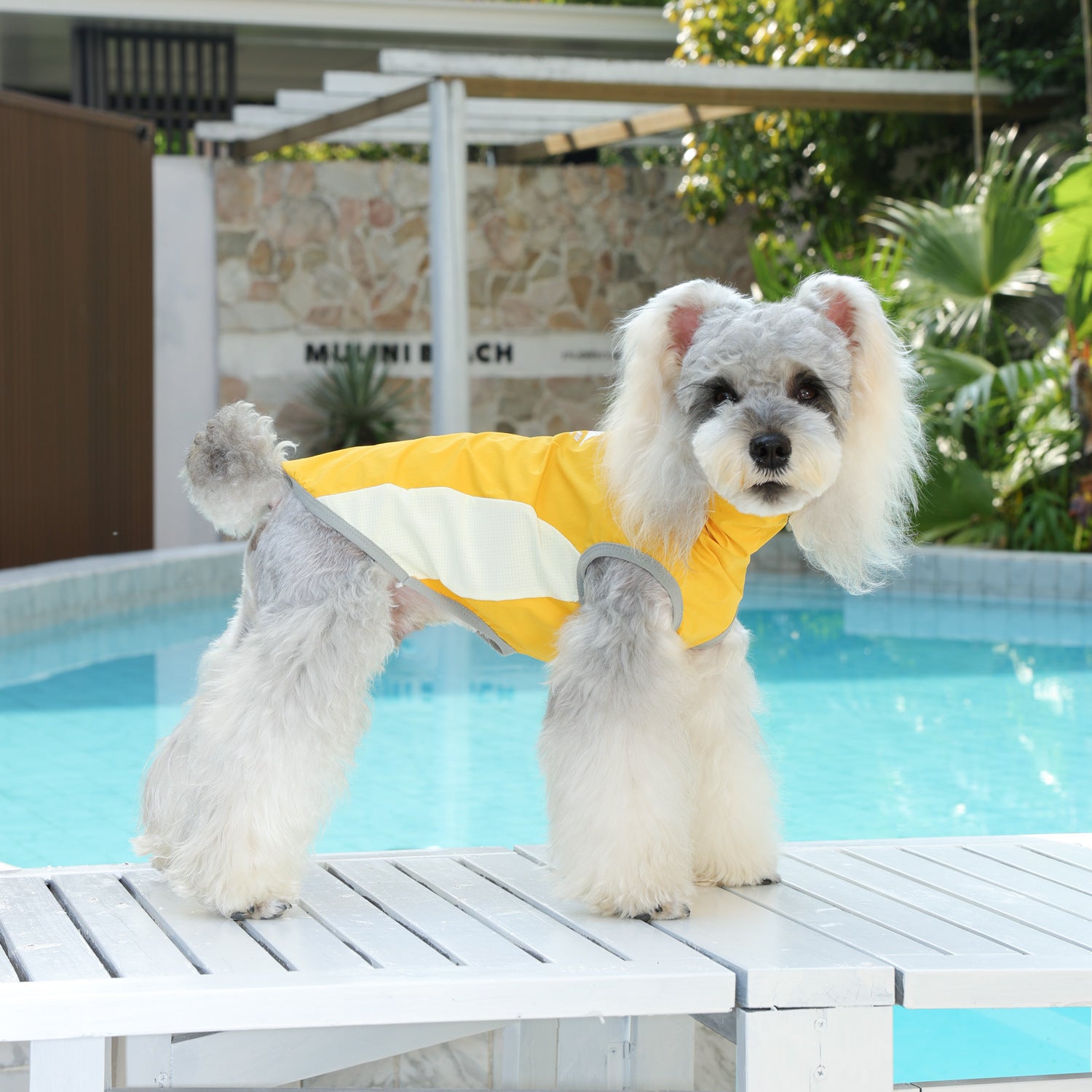 Cooling Dog Vest For Small Dogs | Breathable Summer Shirt