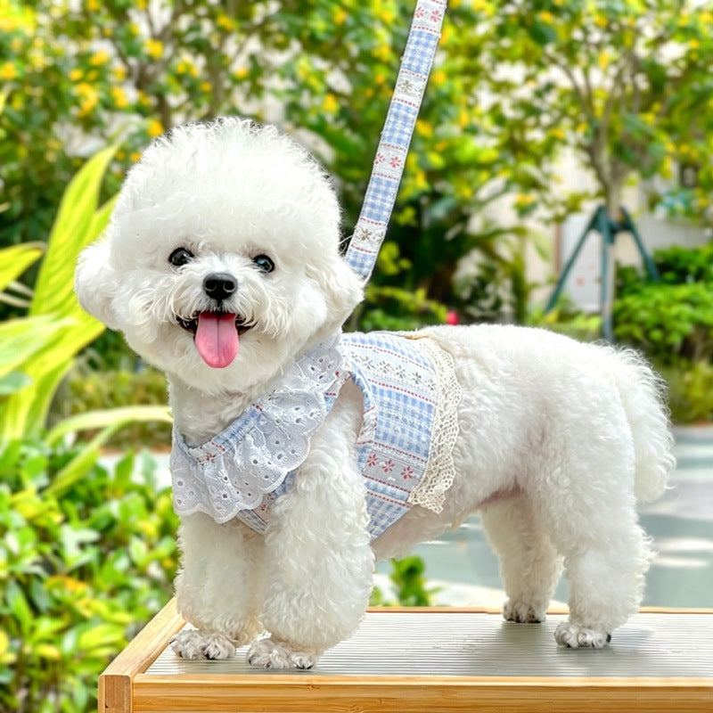 Breathable Lace Harness Dress With Leash Set For Dogs & Cats