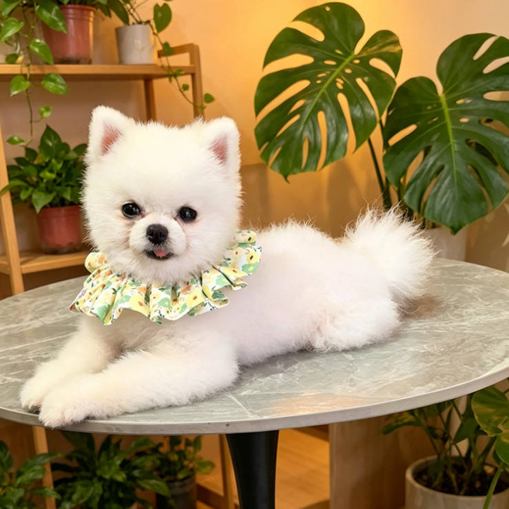 Handmade Floral Elastic Adjustable Cute Small Pet Bandana