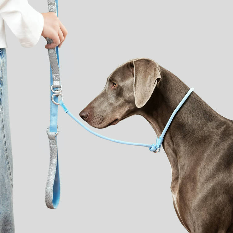 Double Handle Anti Shock Escape Proof Dog Pet Leash