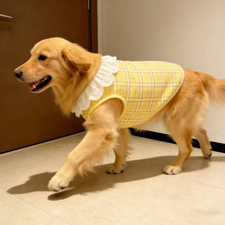 Spring Yellow Plaid Lace Trim Vest Pet Clothes For Large Dogs