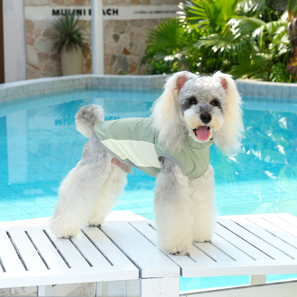 Cooling Dog Vest For Small Dogs | Breathable Summer Shirt