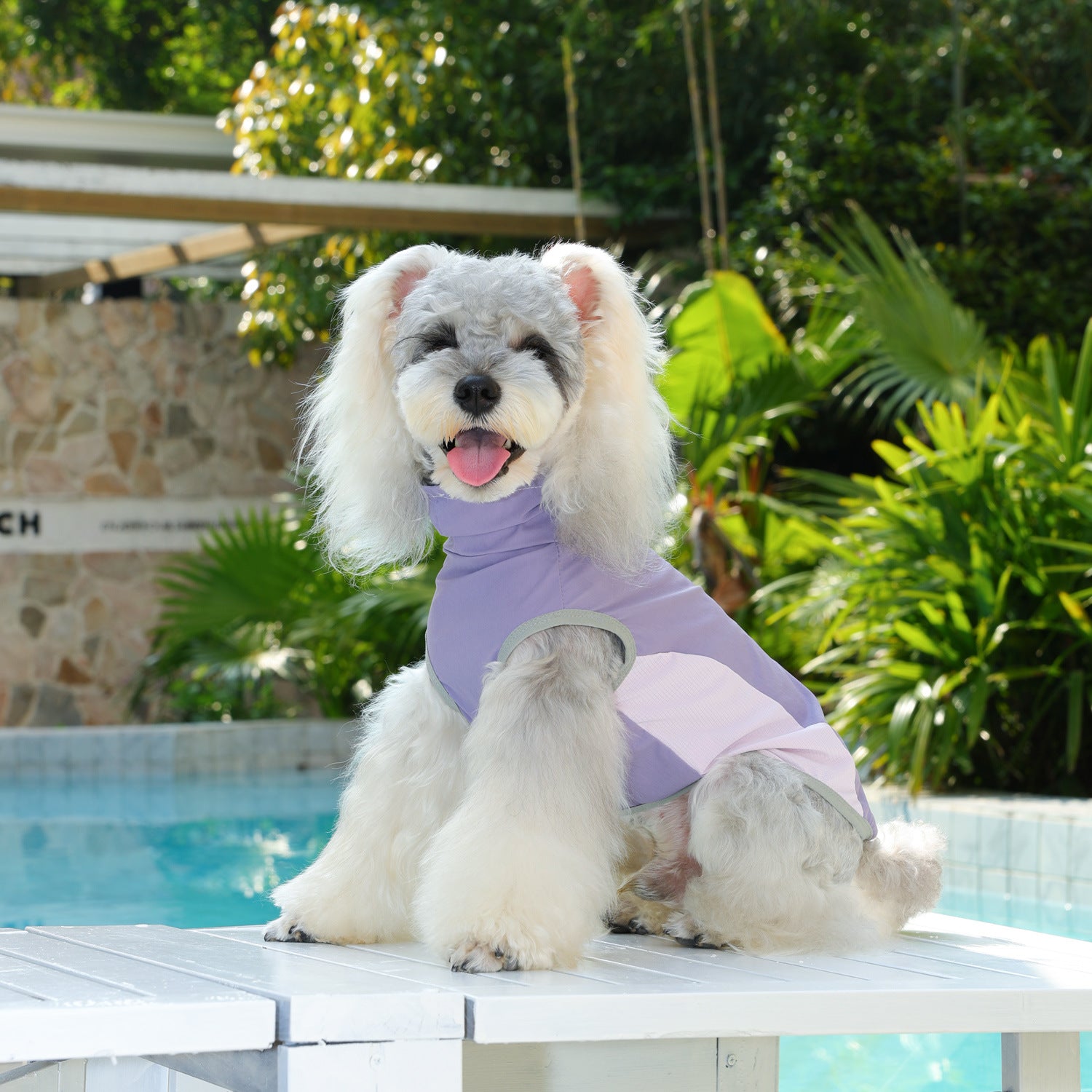 Cooling Dog Vest For Small Dogs | Breathable Summer Shirt