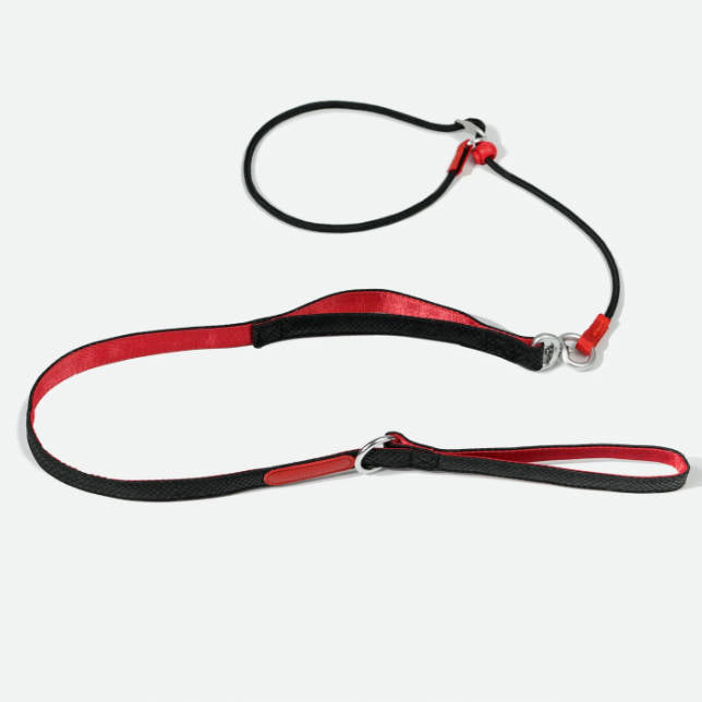 Double Handle Anti Shock Escape Proof Dog Pet Leash