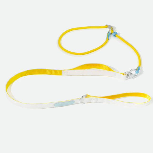 Double Handle Anti Shock Escape Proof Dog Pet Leash
