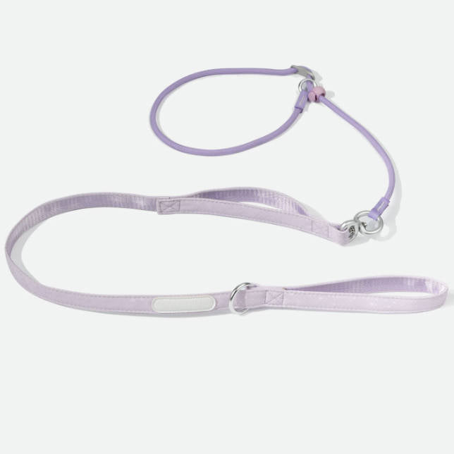 Double Handle Anti Shock Escape Proof Dog Pet Leash
