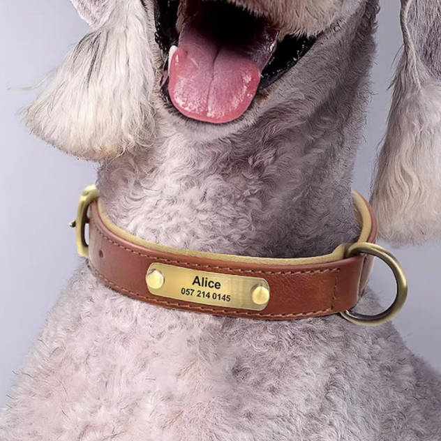 Custom Elegant Leather Adjustable Collar With Engravable Pet Tag