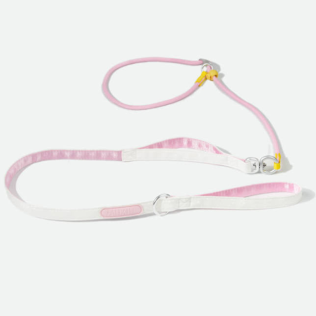 Double Handle Anti Shock Escape Proof Dog Pet Leash