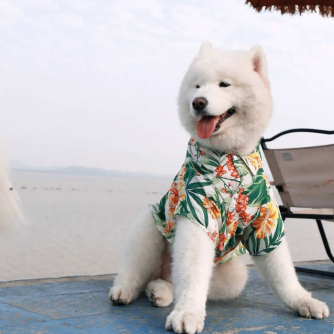Summer Hawaiian Vacation Shirt Pet Clothes For Medium Large Dogs