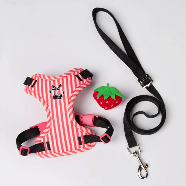 Cute Universal Cat Dog Harness Vest Escape Proof Pet Leash Suit