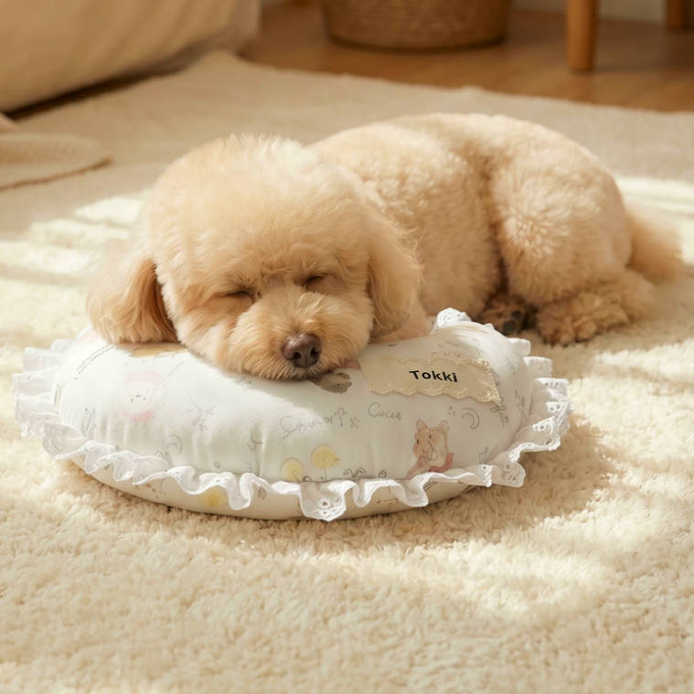 Soft Cotton Lace Moon Pet Pillow For Small Puppy Cats