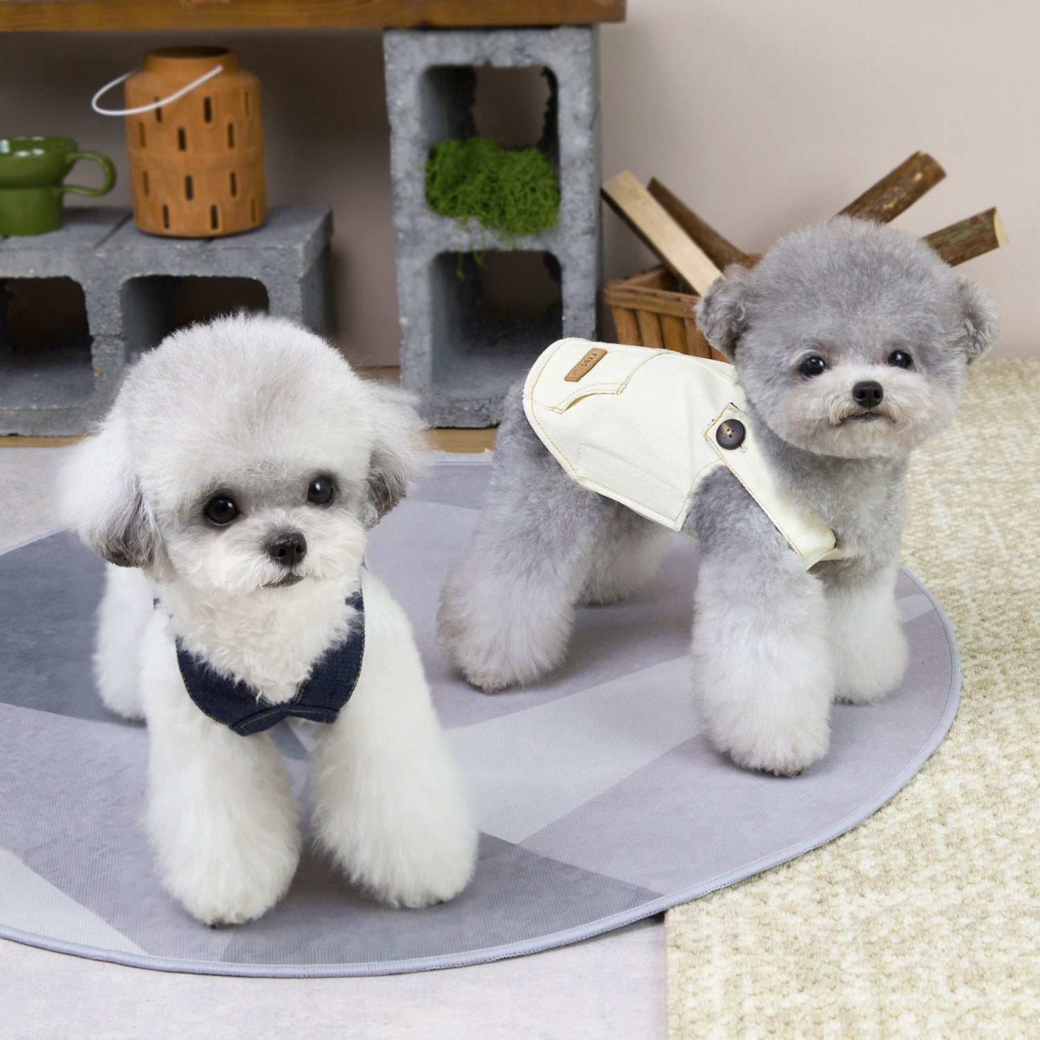 Trendy Denim Harness Overalls For Small Pets | Summer Pet Clothes