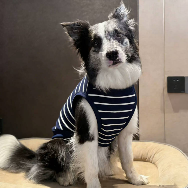Summer Large Dog Striped Vest Anti Shedding Comfortable Pet Clothes