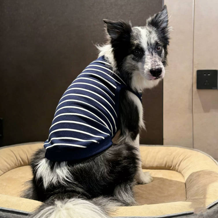 Summer Large Dog Striped Vest Anti Shedding Comfortable Pet Clothes